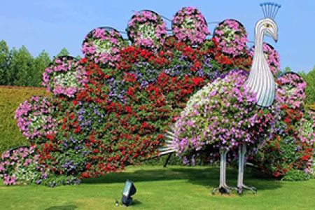 Just another WordPress site